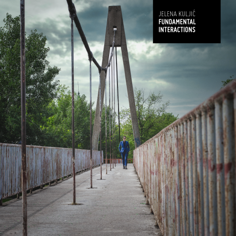 jelena_kuljic_fundamental_interactions_cover.png