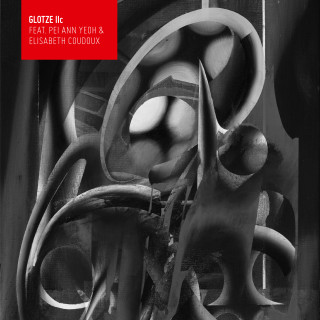 260901_glotze_iic_cover.jpg