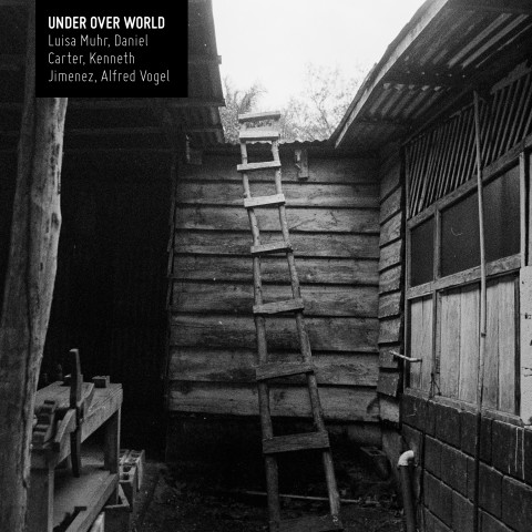 boomslang_under_over_world_digital_cover.jpg